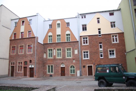dzierzonia tyl