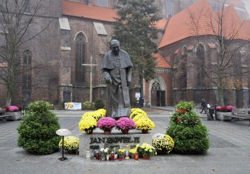 Pomoc dla poszkodowanych posiadaczy chryzantem