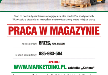 Dino - oferta pracy