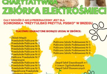 Druga edycja Charytatywnej Zbiórki Elektrośmieci