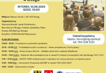 Opolskie Inspiracje Gospodarcze w Brzegu